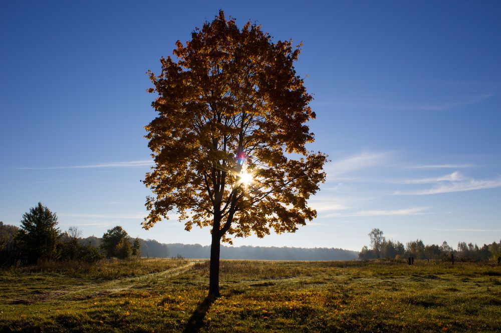 Наслаждение тишиной