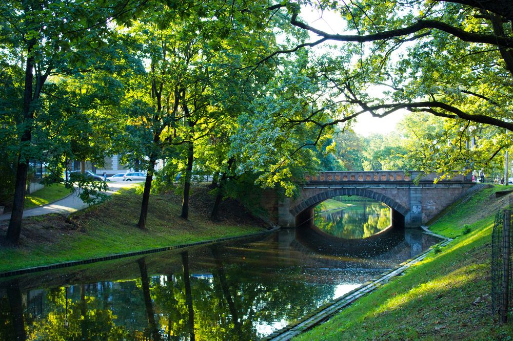 Зелёный рай