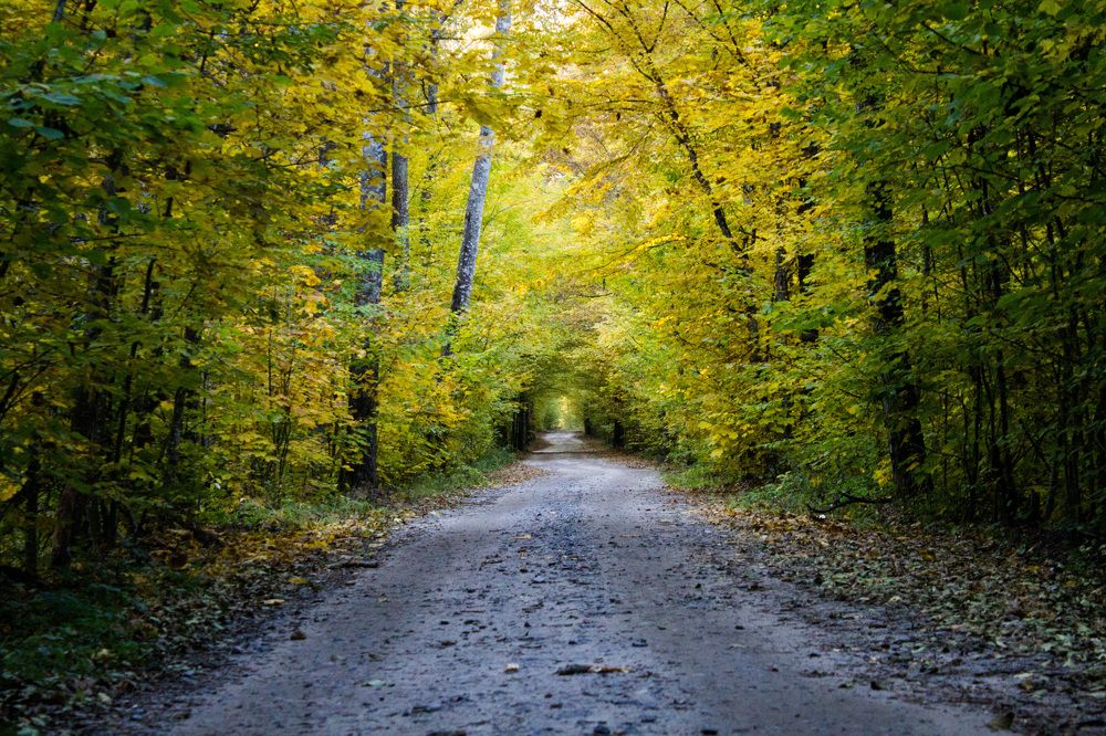 Photograph by Юлия Дейкун