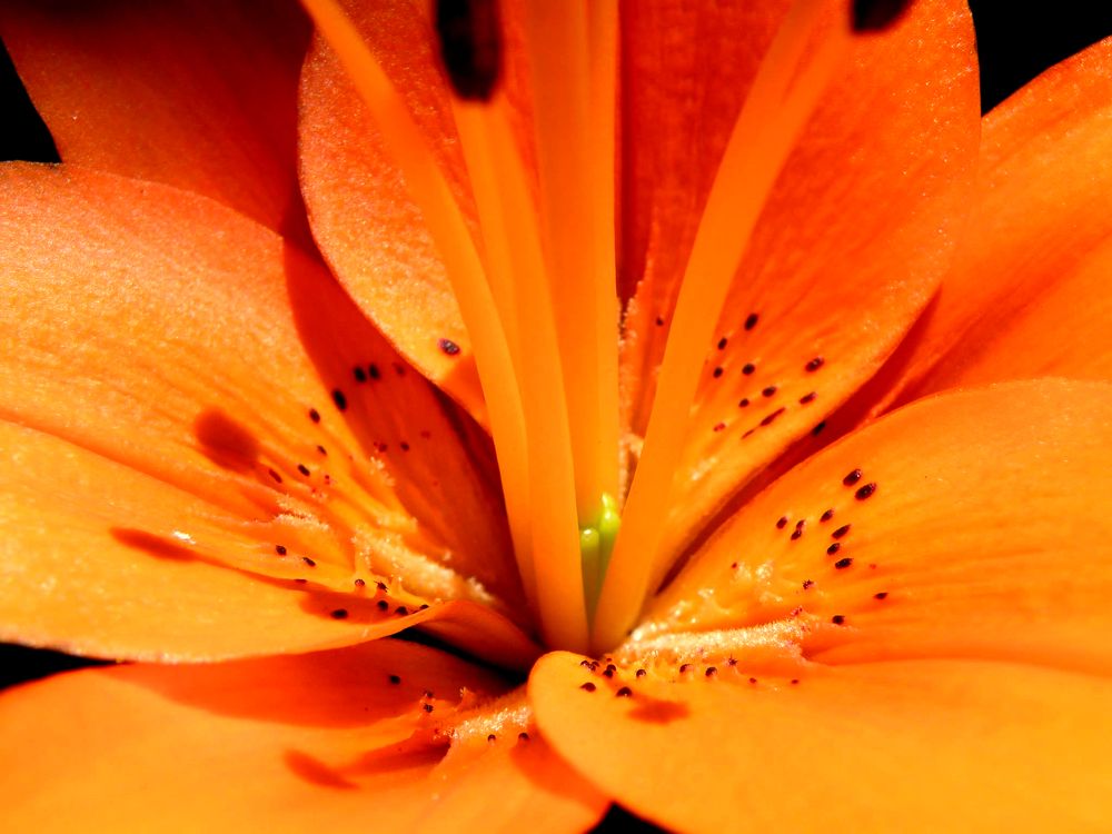 Beauty is in the small