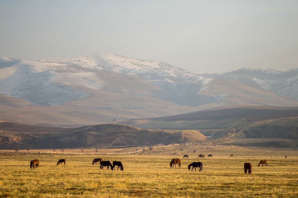 Красногорск, Узбекистан