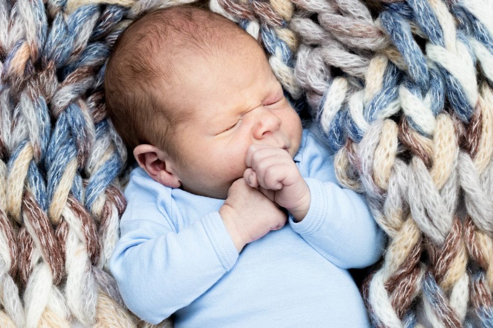 Фотография автора Светлана Климович