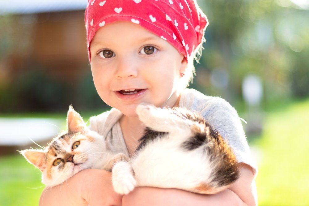 Фотография автора Светлана Климович