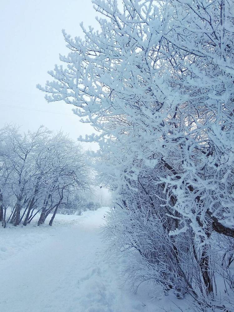 Фотография автора Светлана Дунаева