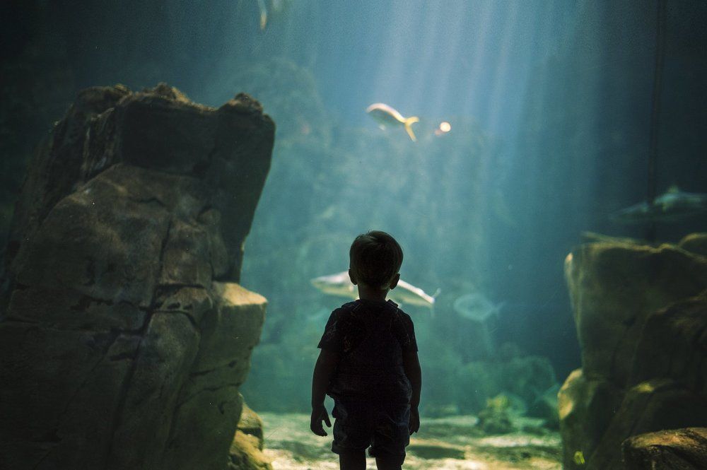 Photograph by Kuznetsova Alena