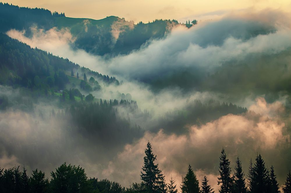 Misty Carpathians