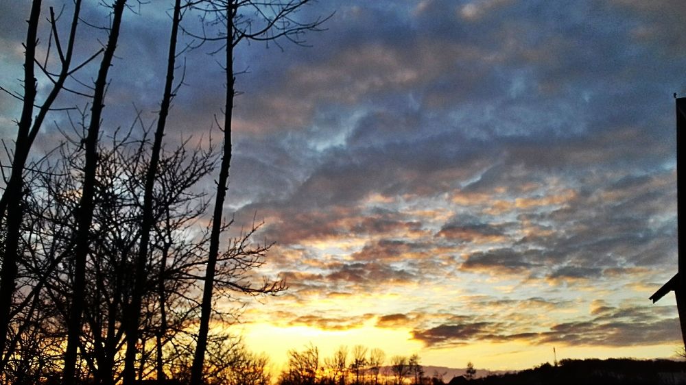 Photograph by Ніка