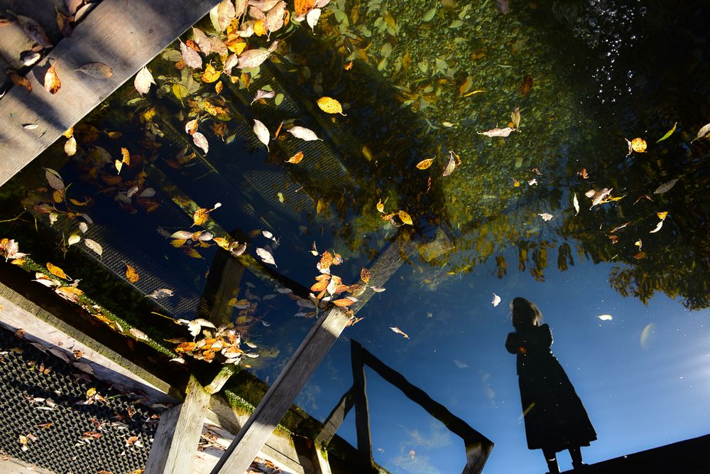 Photograph by Ирина Хромова