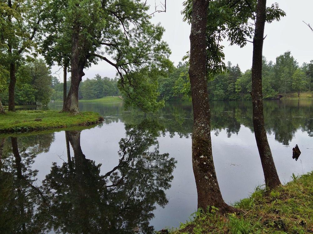 Photograph by Наталья Ерёменко