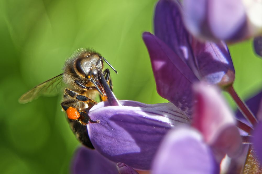 Однажды летом