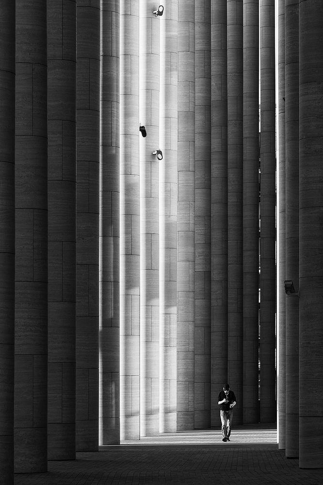 Каменный лес