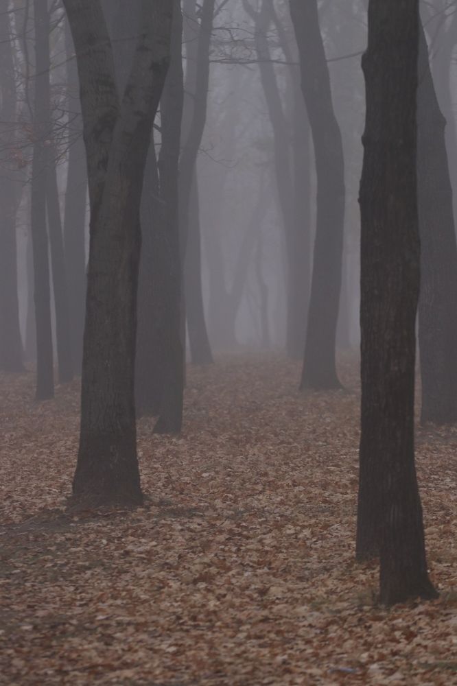 Photograph by Павел