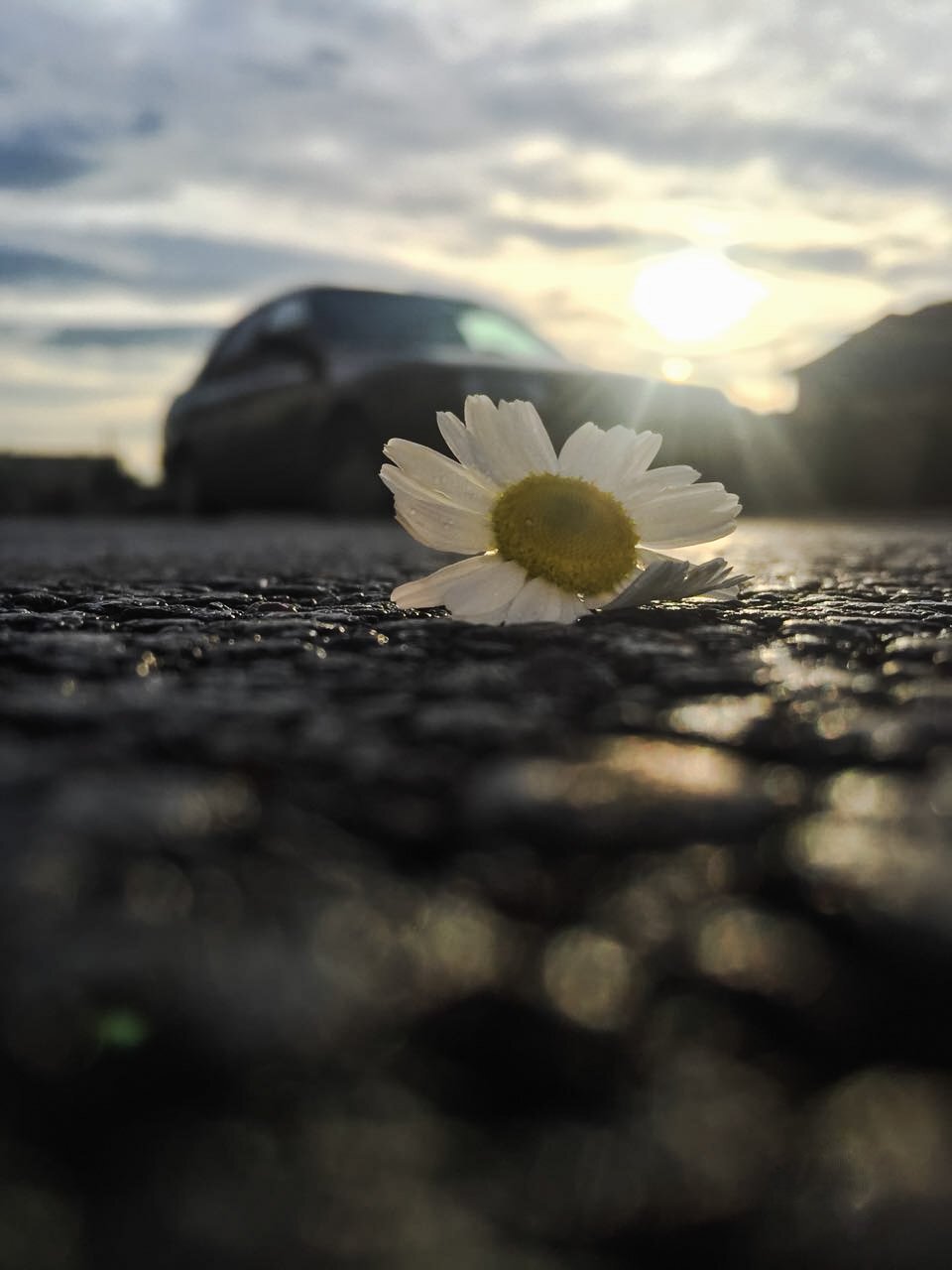 Find beauty in everything