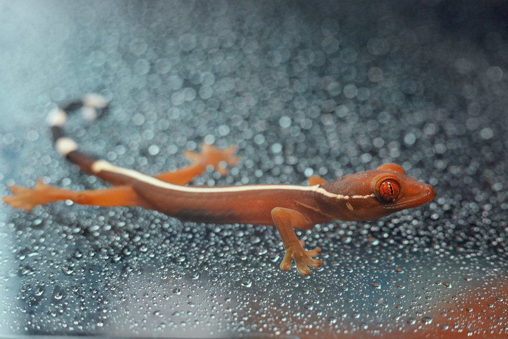 Photograph by Тарасова Ольга