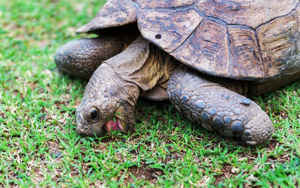 За завтраком.