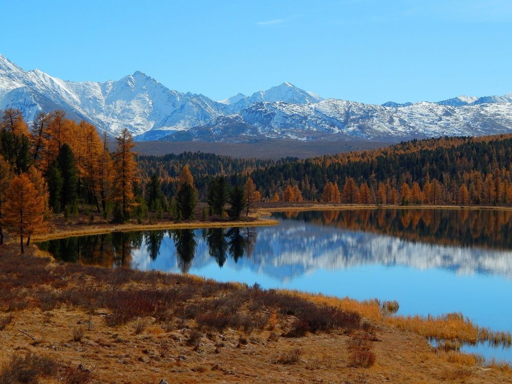 Photograph by Анастасия