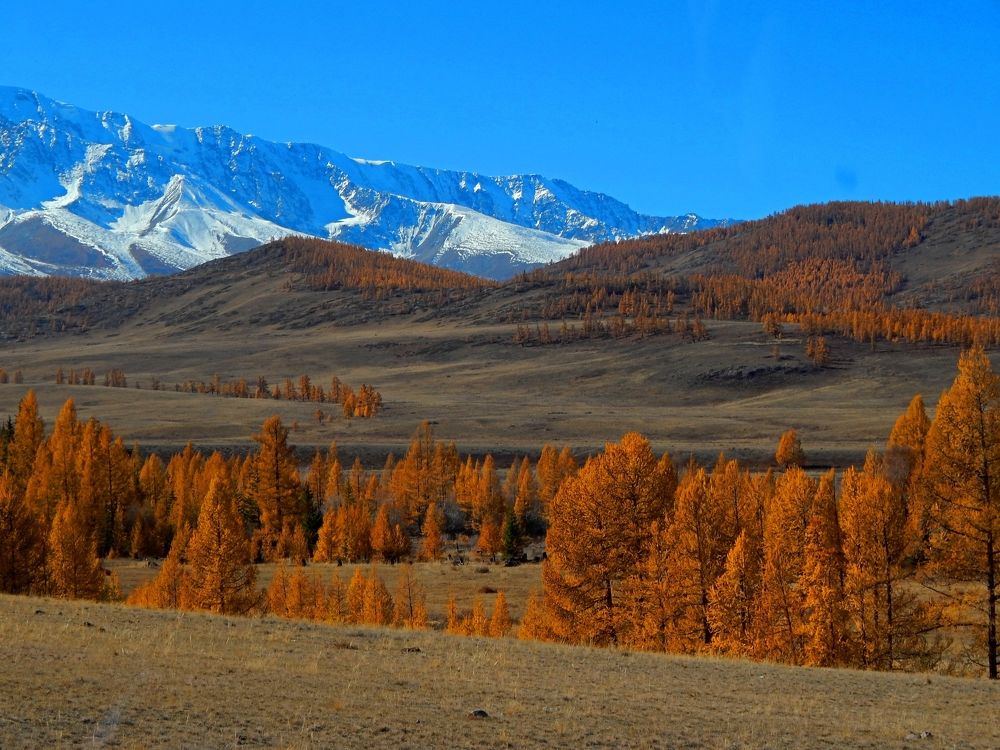 Photograph by Анастасия