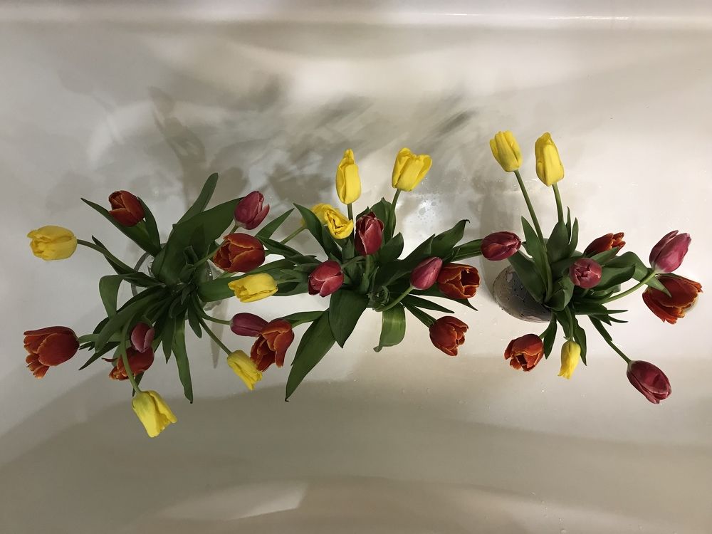 Photograph by Кирилл Мишин