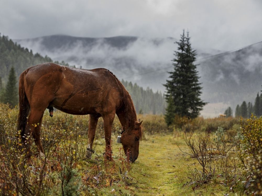 Photograph by Емельянов Саша