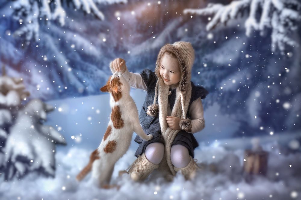 Зимняя сказка