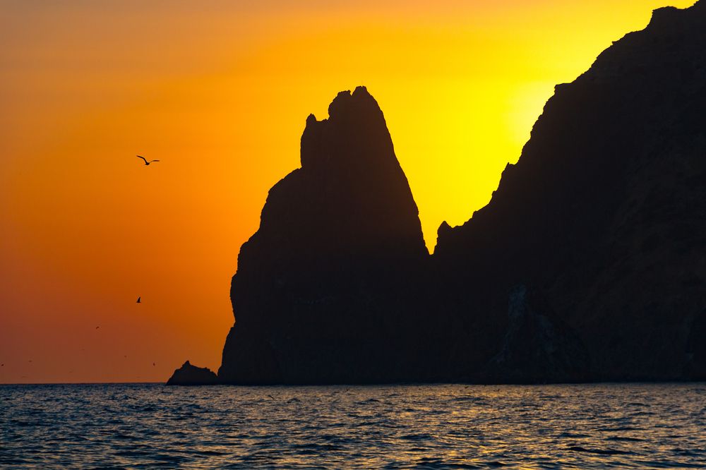 Photograph by Анастасия Заложнова