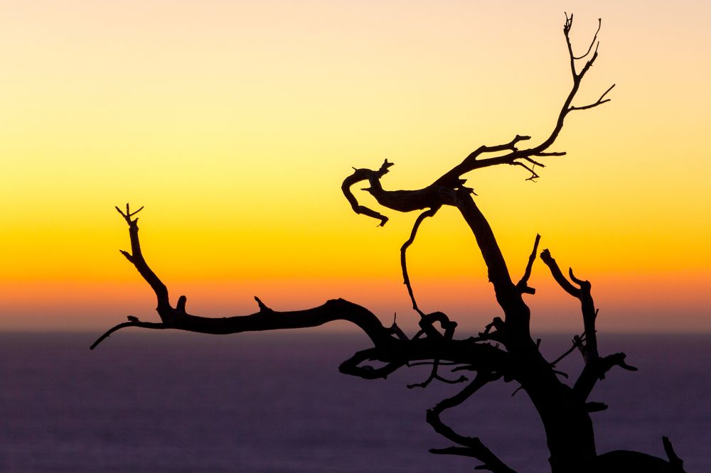 Photograph by Анастасия Заложнова