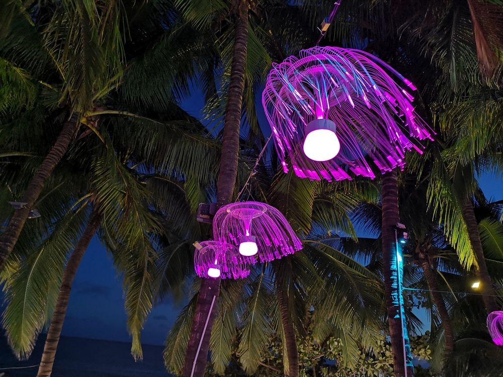 Photograph by Анастасия Заложнова