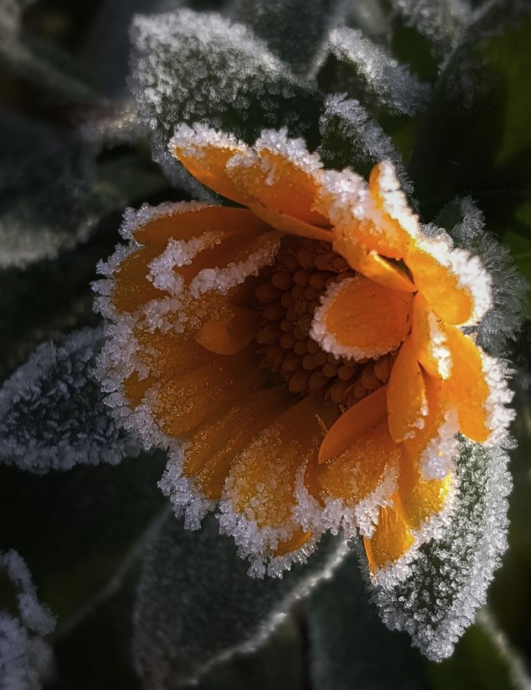 Non stop dreaming...