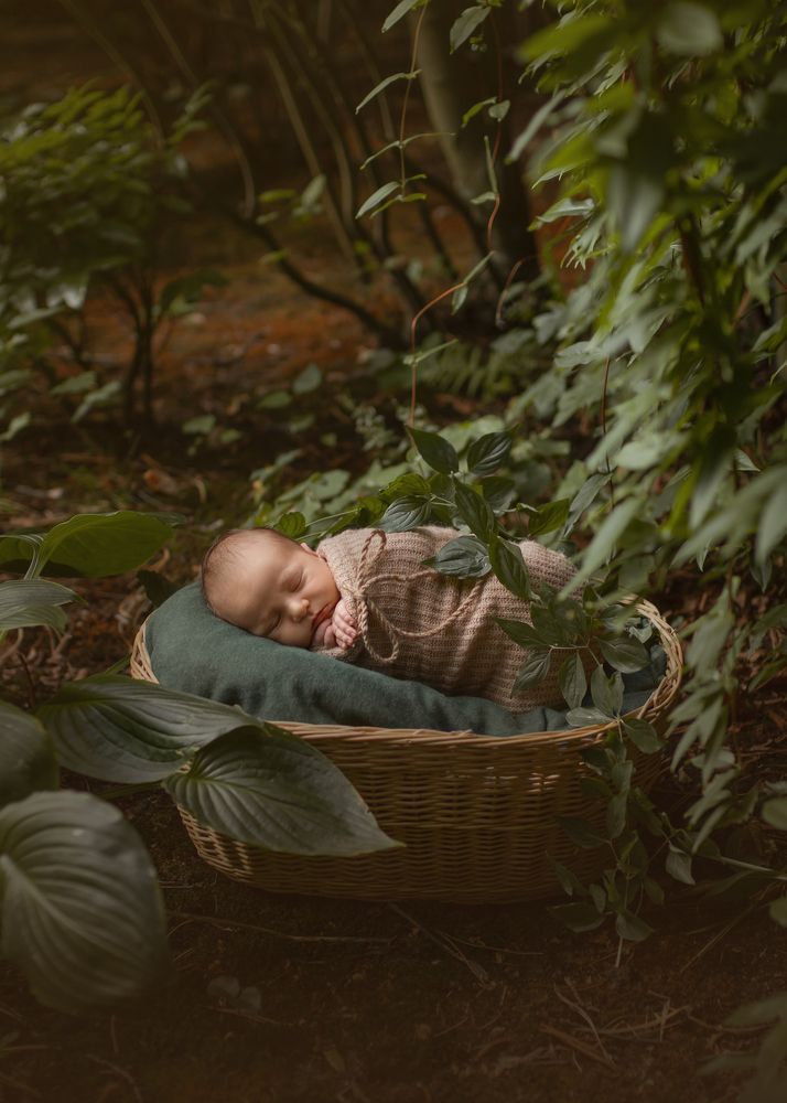 Photograph by Irina Welker