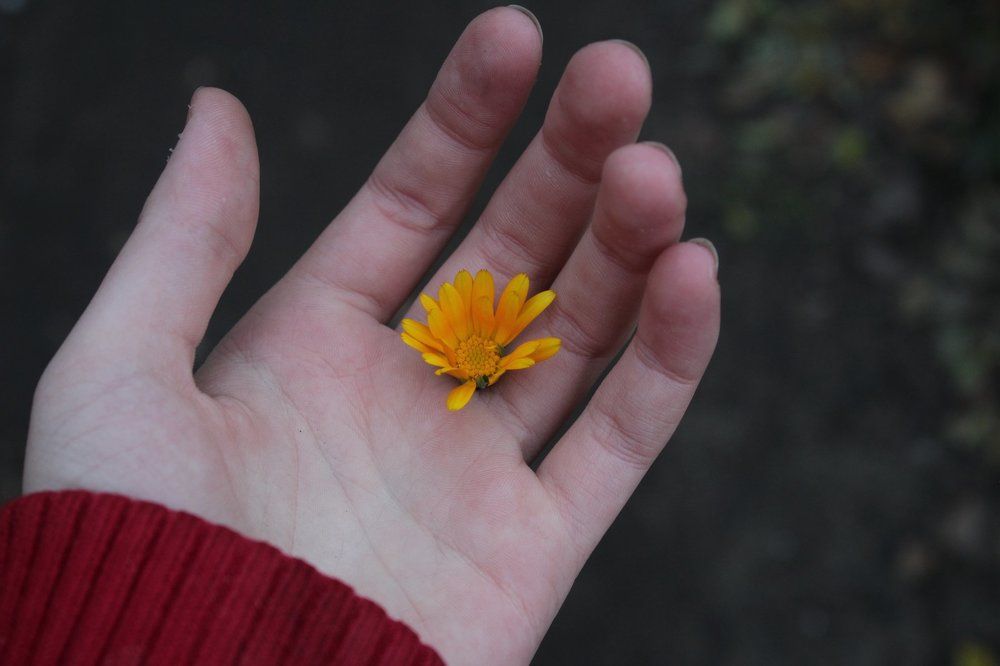 все в твоих руках