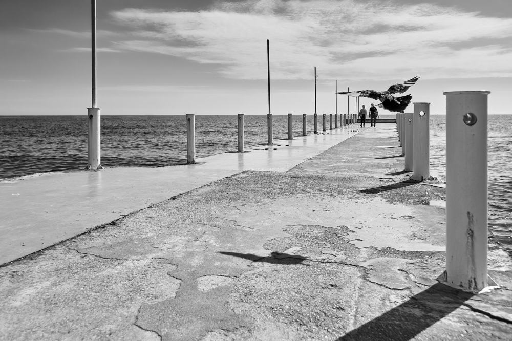 Под крылом...