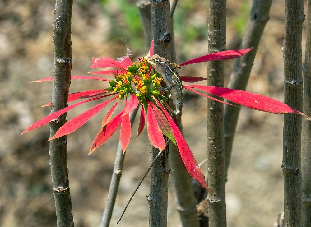 Photograph by Виктор Петров