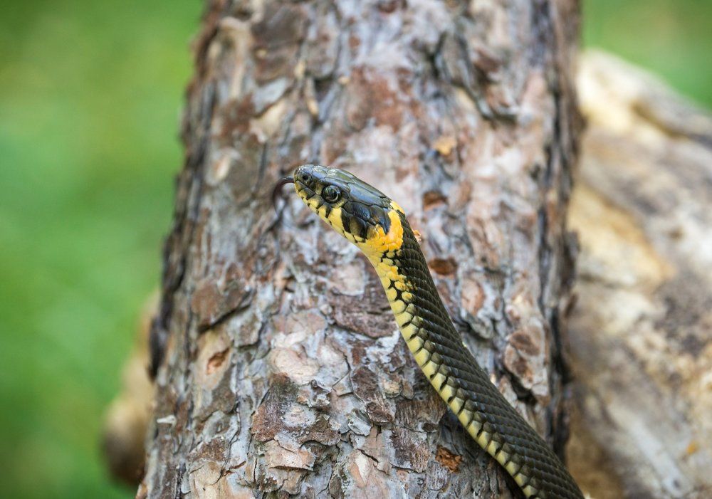 Photograph by Виктор Петров