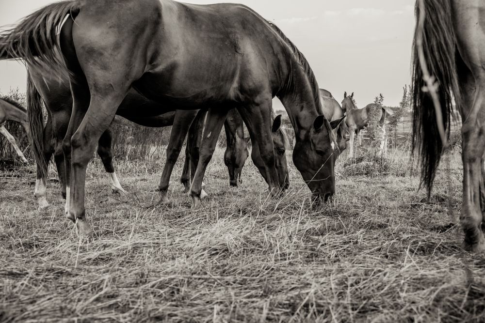 Photograph by Анастасия