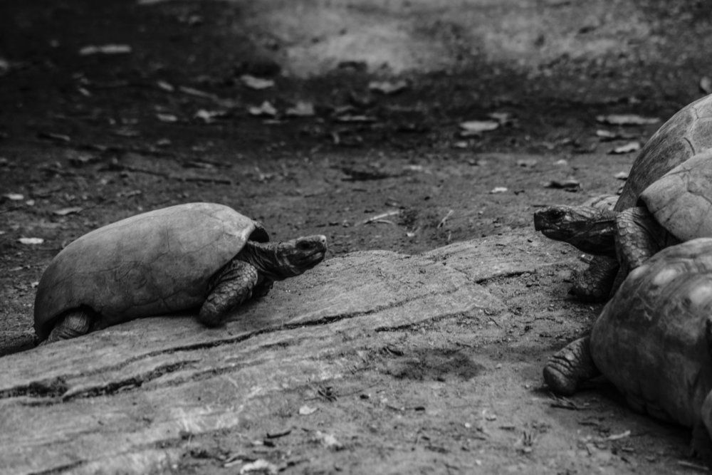 A little conversation