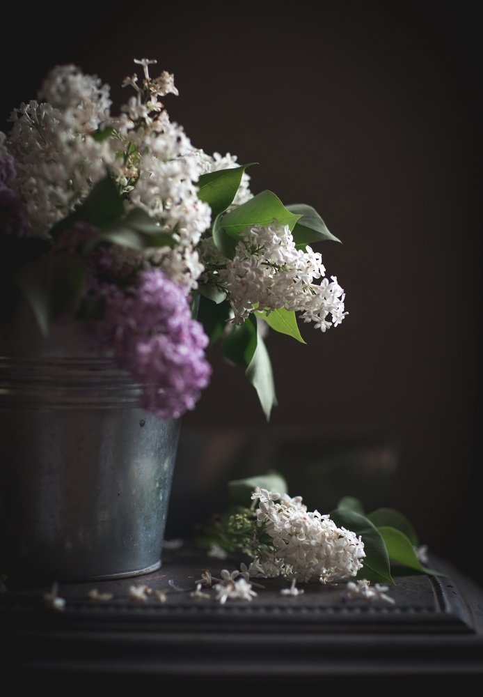 Фотография автора Анна Евгеньева