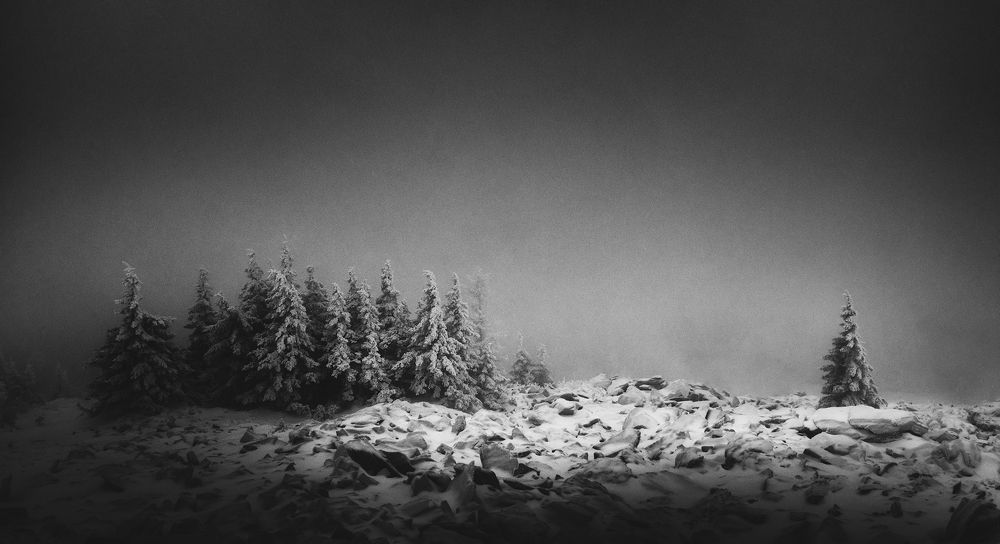 Фотография автора Yevgeny Anatolyevich