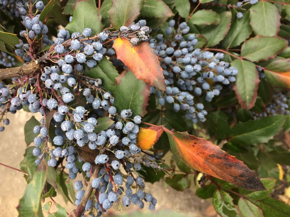 Photograph by Татьяна Белгарокова