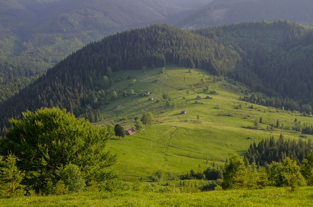 Top view to the green valley