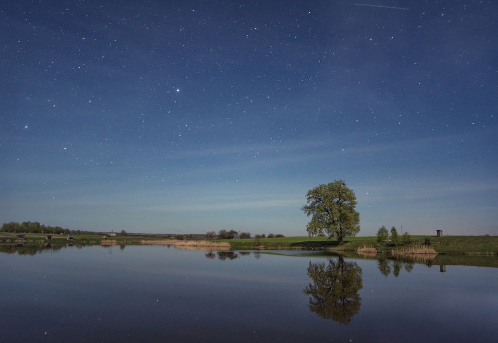 Photograph by Галина Нечипорук