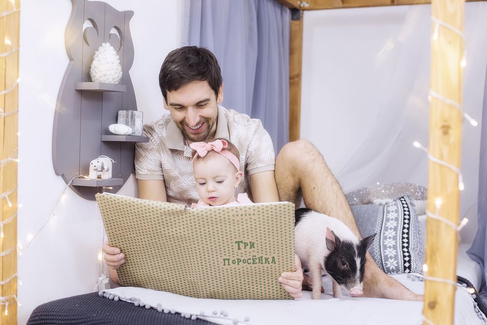 Три поросенка