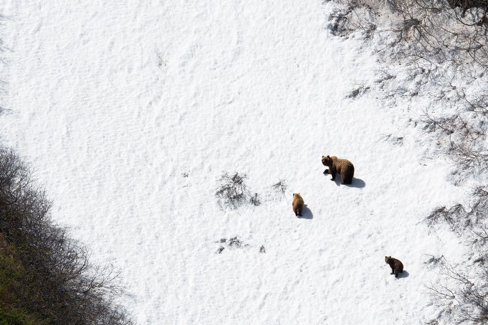 На снежном склоне