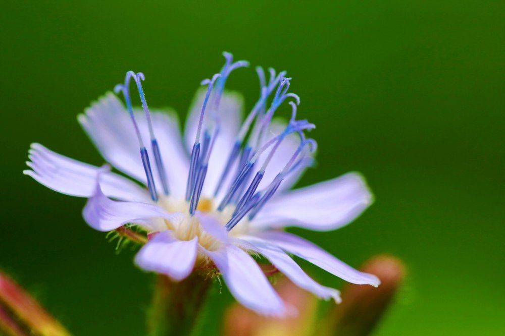 Photograph by VictOr