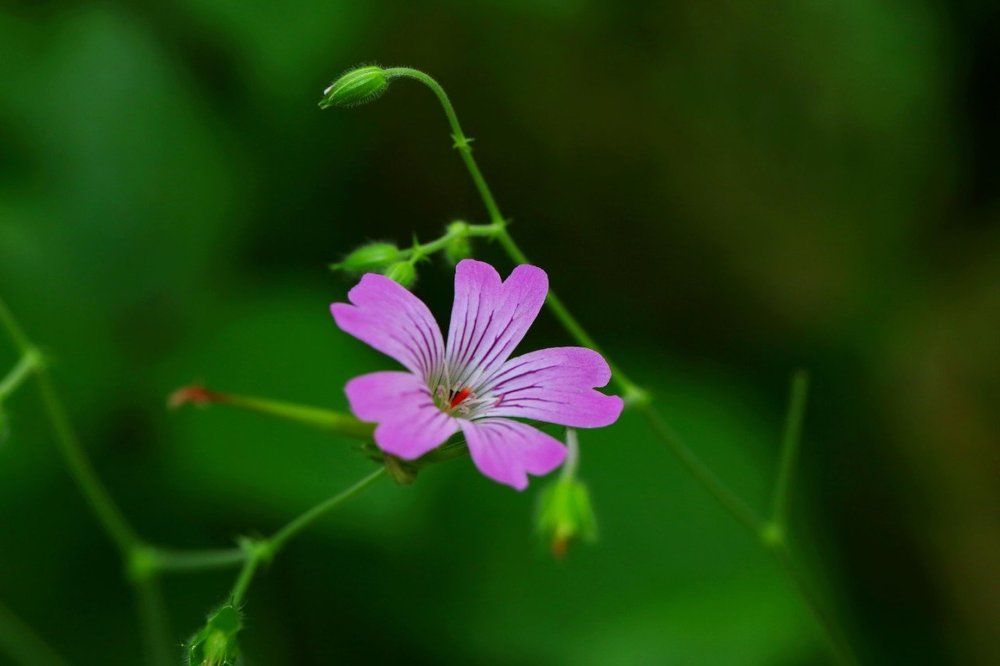 Photograph by VictOr