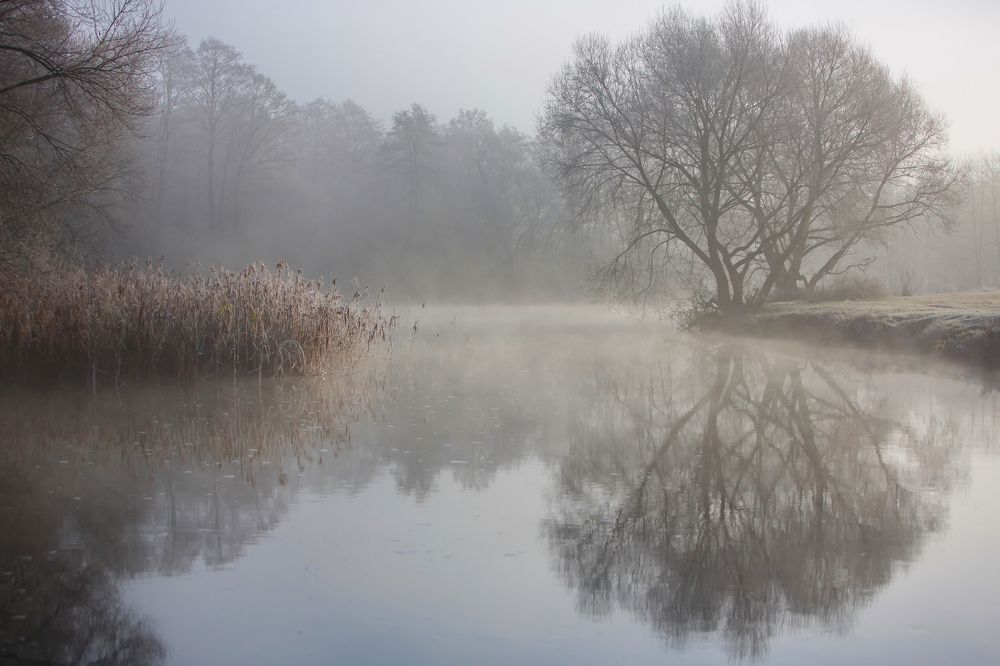 ... в зеркале ...