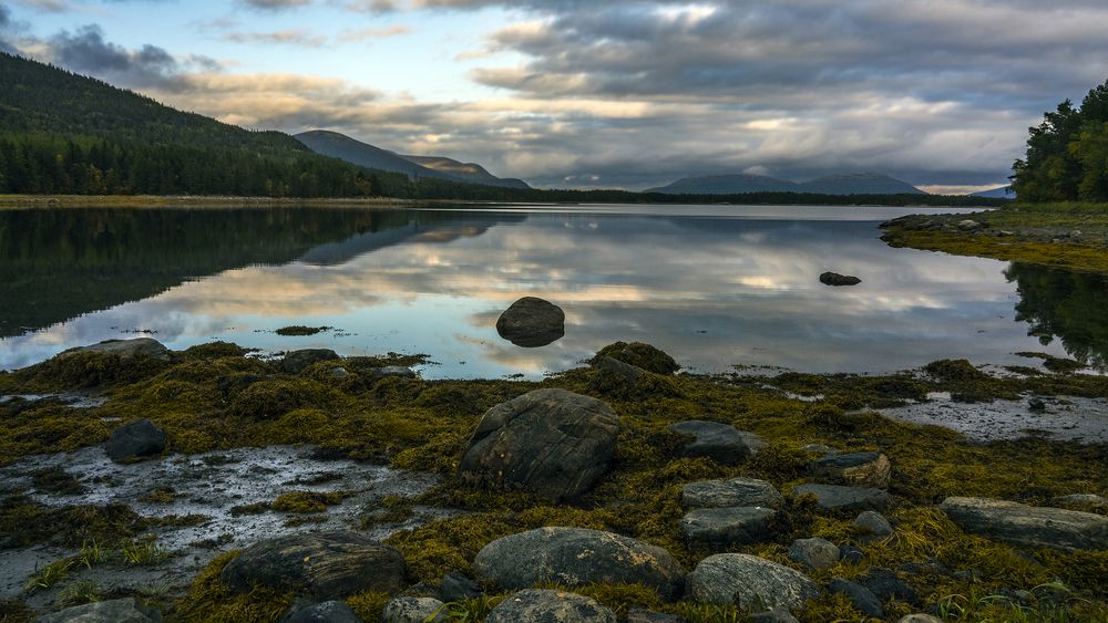 Вечерний залив.