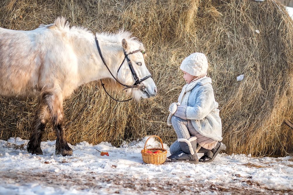 зимой в деревне
