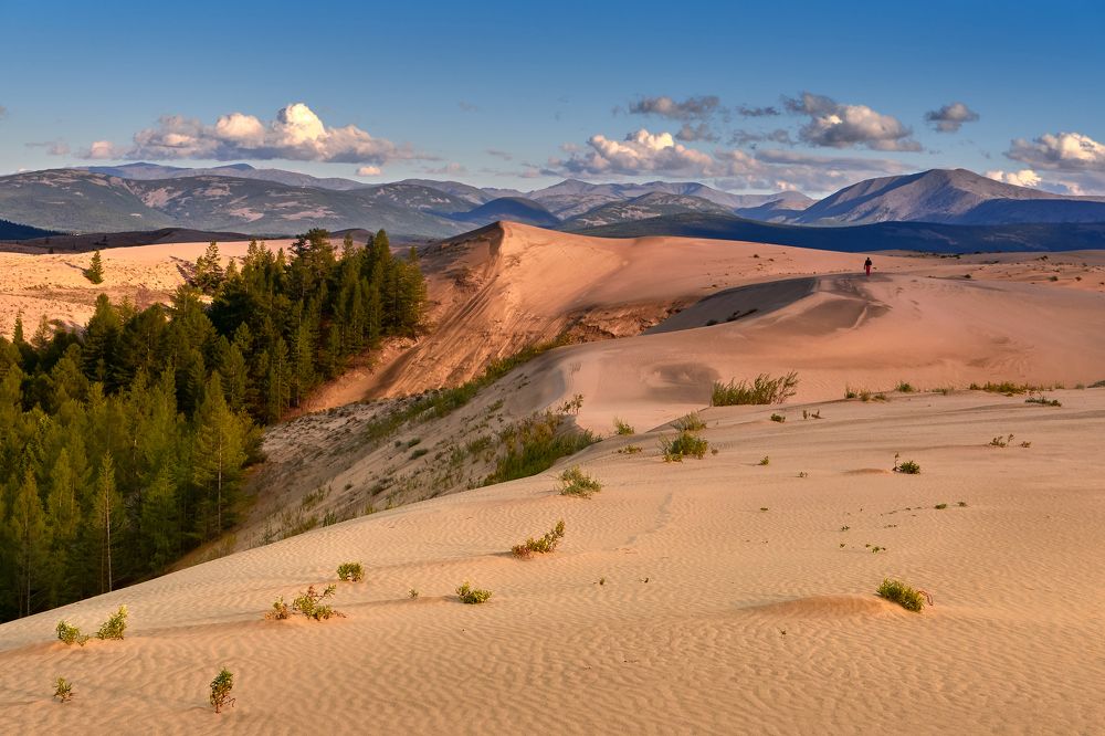 Чарские пески