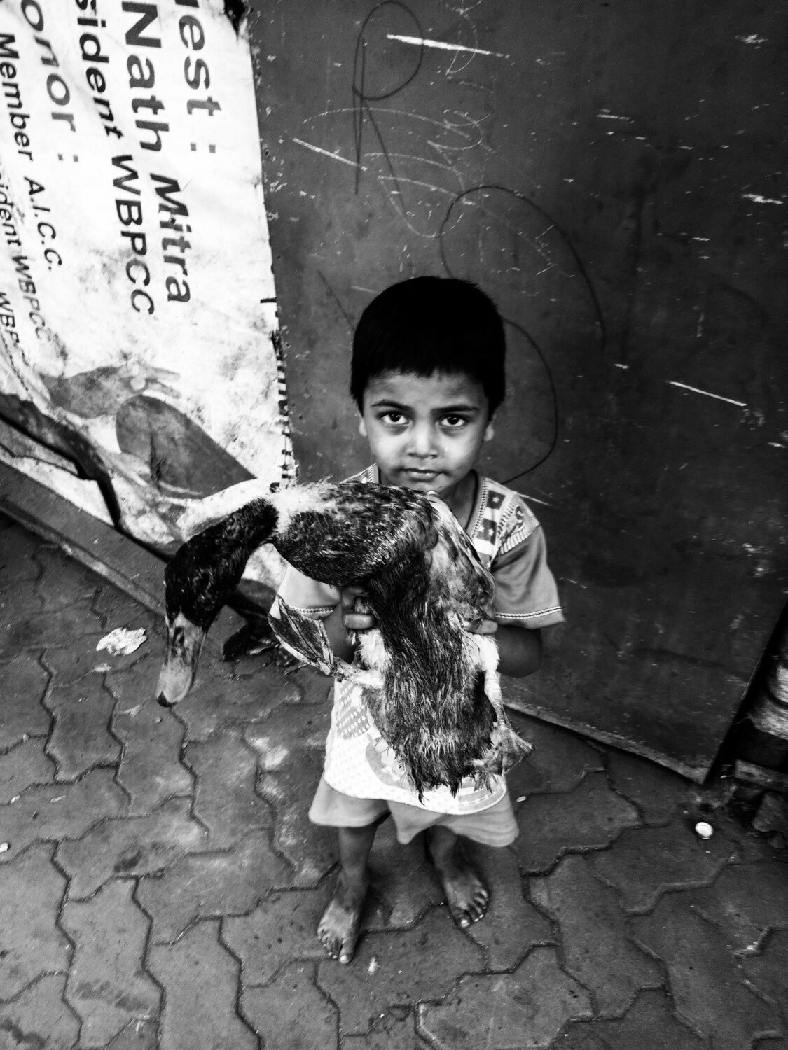 children with the animal