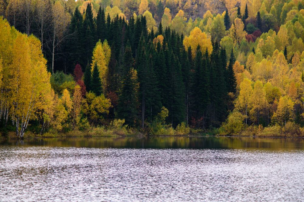 Photograph by Михаил Рогачев